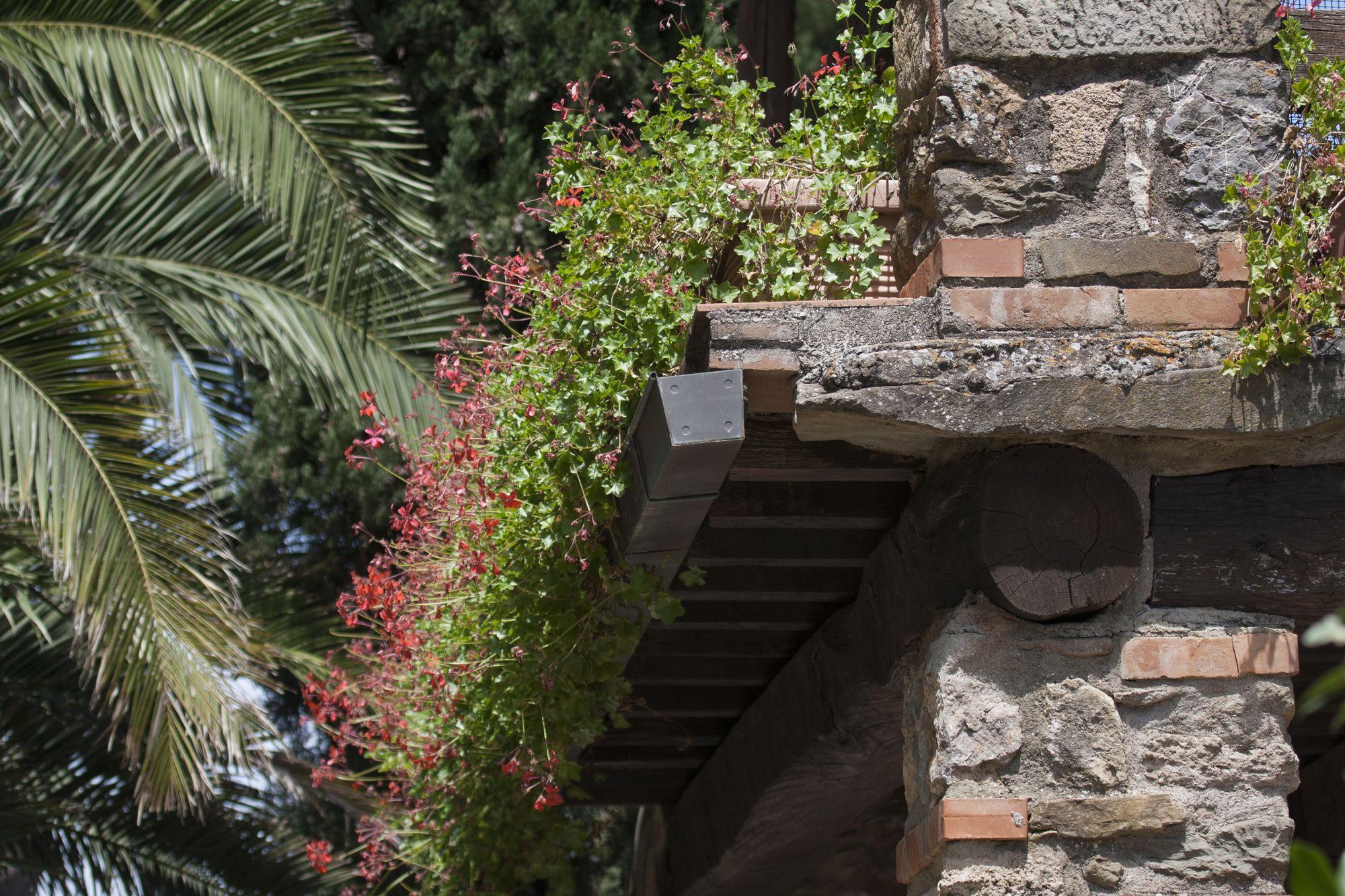 Tenuta Aronne Massa Marittima Εξωτερικό φωτογραφία