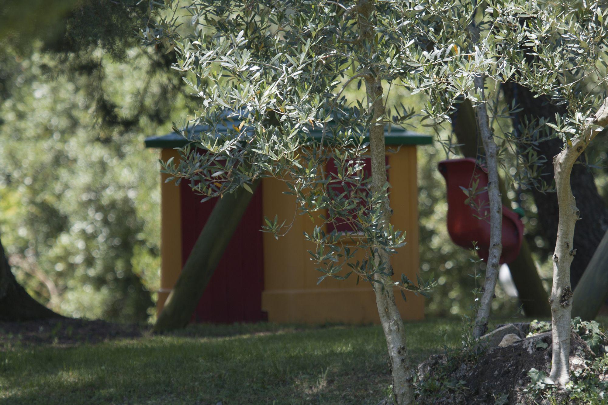 Tenuta Aronne Massa Marittima Εξωτερικό φωτογραφία