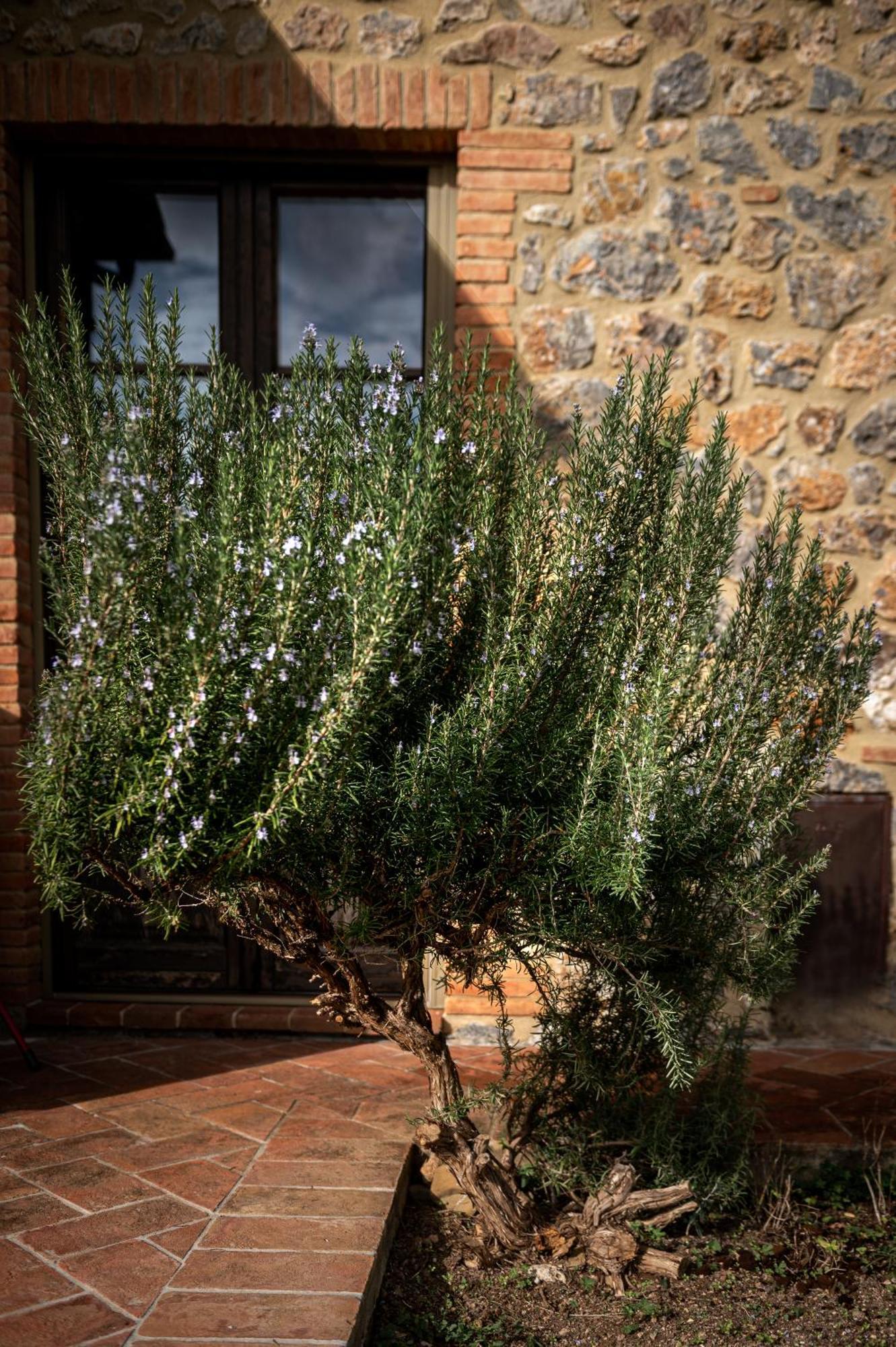 Tenuta Aronne Massa Marittima Εξωτερικό φωτογραφία