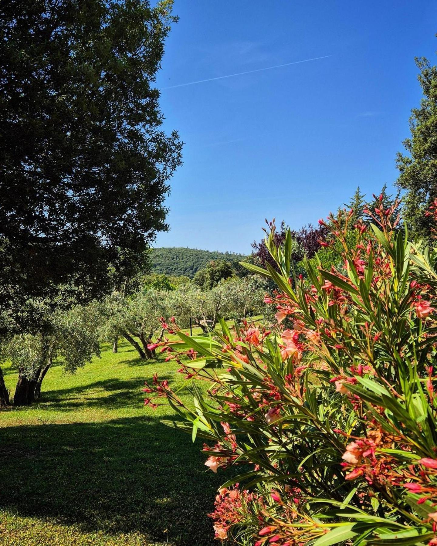 Tenuta Aronne Massa Marittima Εξωτερικό φωτογραφία