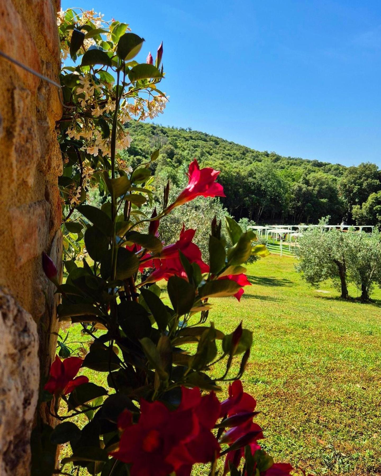 Tenuta Aronne Massa Marittima Εξωτερικό φωτογραφία